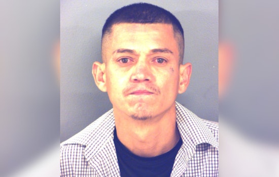 El Paso Man Charged with Vehicle Theft and Fraud, Six Stolen Cars Recovered