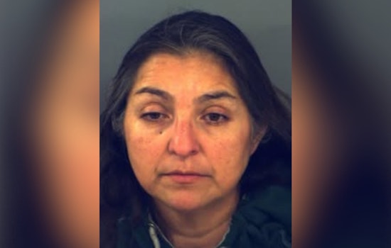 El Paso Woman Arrested on Animal Cruelty Charges After Neglected Dog Found