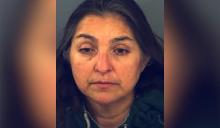 El Paso Woman Arrested on Animal Cruelty Charges After Neglected Dog Found