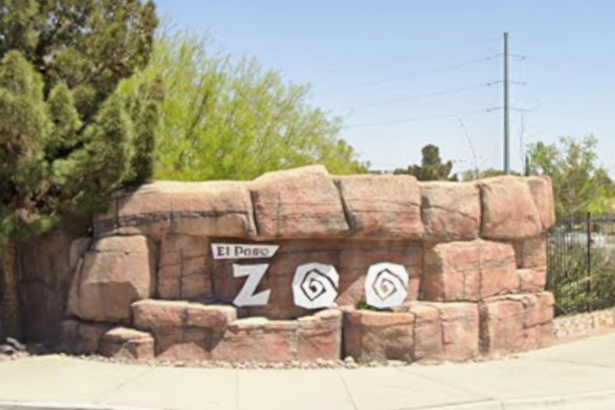 Social Media Fatigue and AI Slop Reshaping Digital Habits by 2026