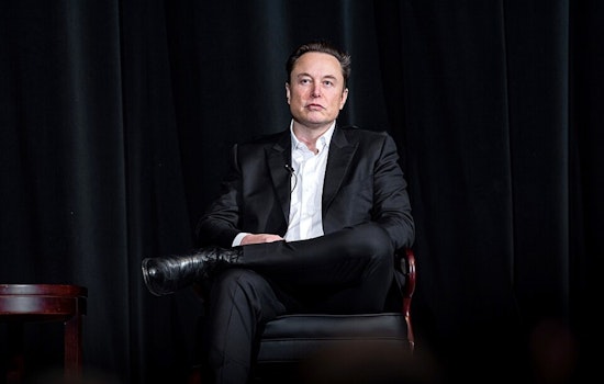 Elon Musk Lawyer Moonlights As Clown In Bay Area AI Showdown