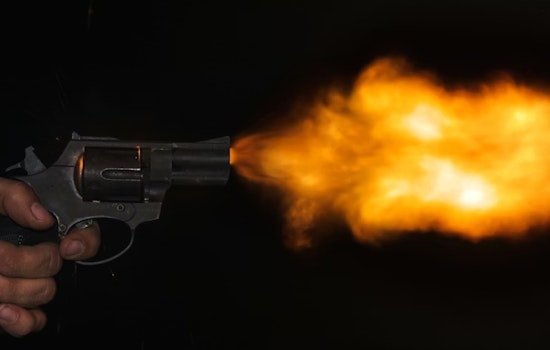 Elyria Police Investigate New Year's Day Gunfire, No Injuries Reported