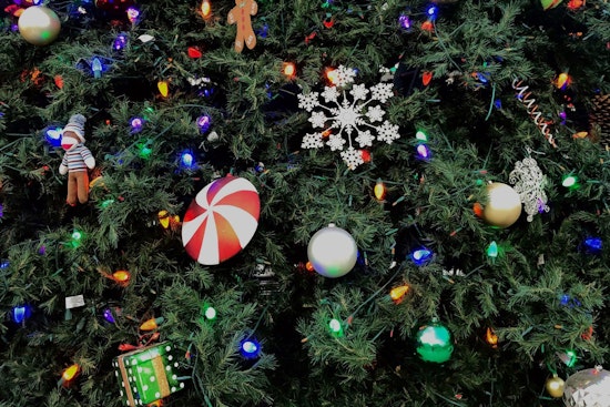 Englewood Offers Eco-Friendly Christmas Tree Recycling Through January – Free Mulch Up for Grabs
