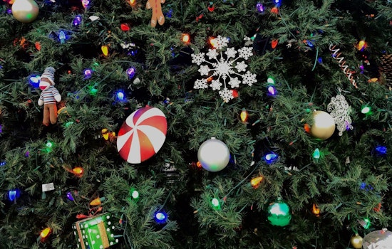 Englewood Offers Eco-Friendly Christmas Tree Recycling Through January – Free Mulch Up for Grabs