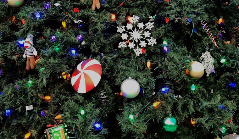 Englewood Offers Eco-Friendly Christmas Tree Recycling Through January – Free Mulch Up for Grabs