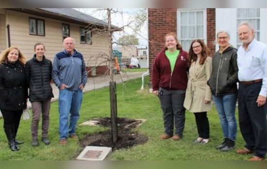 Euclid Seeks Passionate Volunteers for Shade Tree Commission to Boost Urban Canopy Efforts