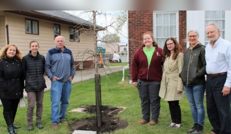 Euclid Seeks Passionate Volunteers for Shade Tree Commission to Boost Urban Canopy Efforts