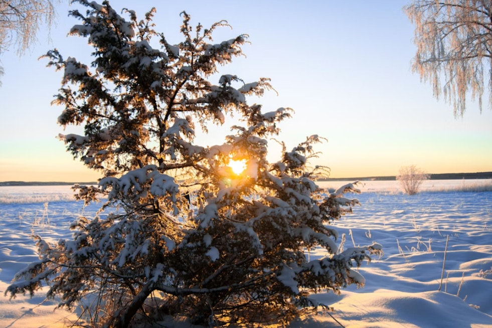 Extreme Cold Watch Issued for Jacksonville and Surrounding Areas, Residents Urged to Take Precautions Against Frostbite and Hypothermia Risks