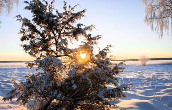 Extreme Cold Watch Issued for Jacksonville and Surrounding Areas, Residents Urged to Take Precautions Against Frostbite and Hypothermia Risks