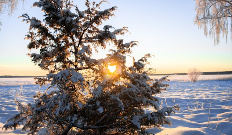 Extreme Cold Watch Issued for Jacksonville and Surrounding Areas, Residents Urged to Take Precautions Against Frostbite and Hypothermia Risks