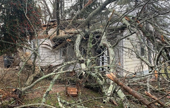 Family and Pets Safe after Large Tree Collapses on Home in Knoxville