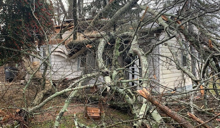 Family and Pets Safe after Large Tree Collapses on Home in Knoxville
