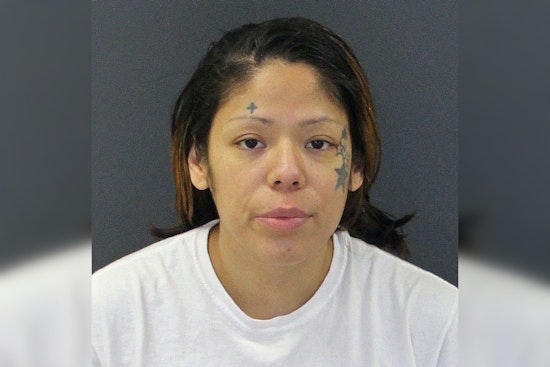 Faribault Woman Pleads Guilty to Murder of Disabled Veteran, Agrees to 35-Year Sentence