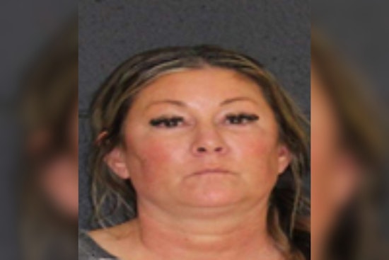 FBI Raid On East Texas Dog Ranch Sends 88 Sick German Shepherds To Florida Shelter