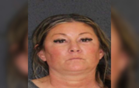 FBI Raid On East Texas Dog Ranch Sends 88 Sick German Shepherds To Florida Shelter