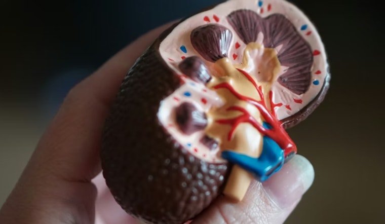 FDA Approves New Arsenal of Kidney Disease Drugs in 2025: University of Cincinnati Expert Highlights Advancements