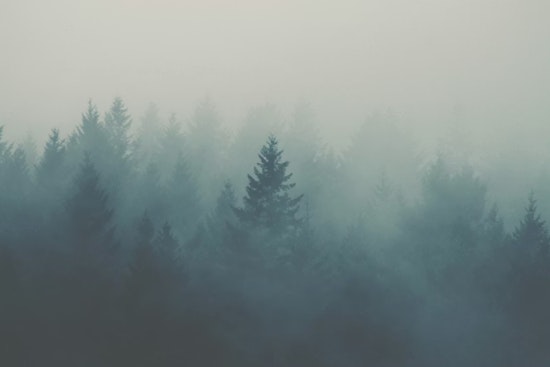 Foggy Denver Morning Vanishes Into Spring Tease Weekend