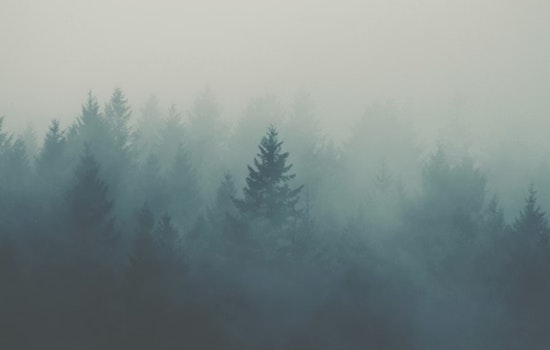 Foggy Denver Morning Vanishes Into Spring Tease Weekend