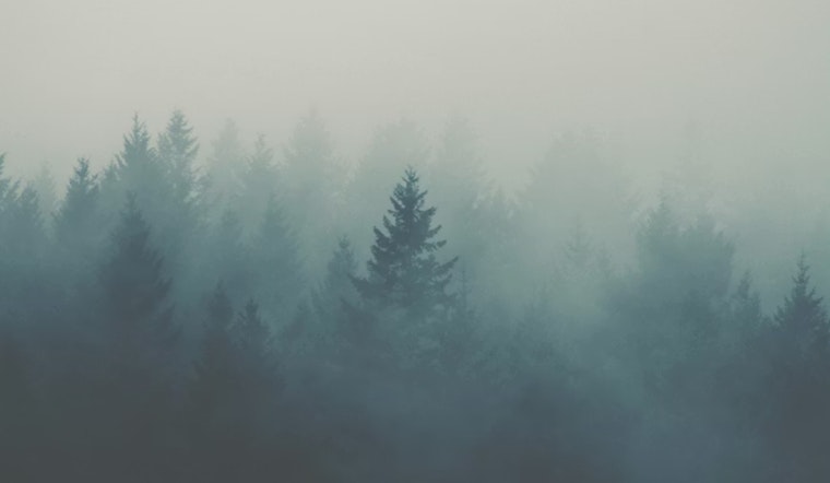 Foggy Denver Morning Vanishes Into Spring Tease Weekend