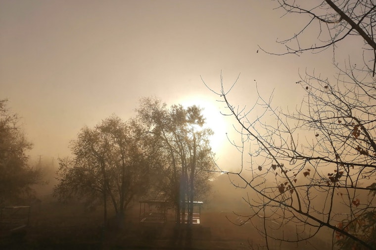 Foggy Mornings and Occasional Sunshine Expected for Jacksonville Residents