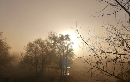Foggy Mornings and Occasional Sunshine Expected for Jacksonville Residents