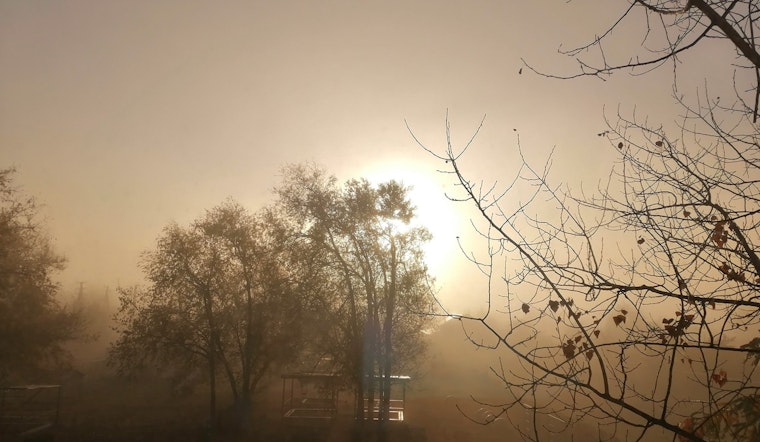 Foggy Mornings and Occasional Sunshine Expected for Jacksonville Residents