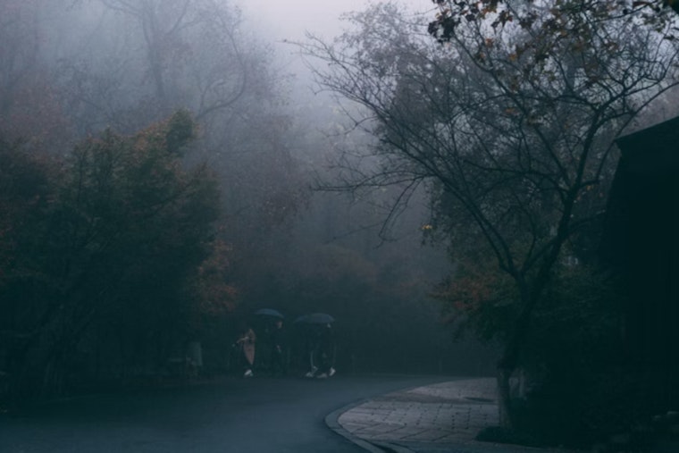 Foggy Mornings and Sunny Afternoons Forecasted for Sacramento Ahead of MLK Day