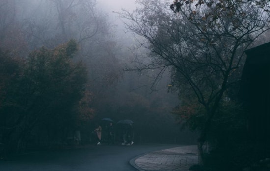 Foggy Mornings and Sunny Afternoons Forecasted for Sacramento Ahead of MLK Day