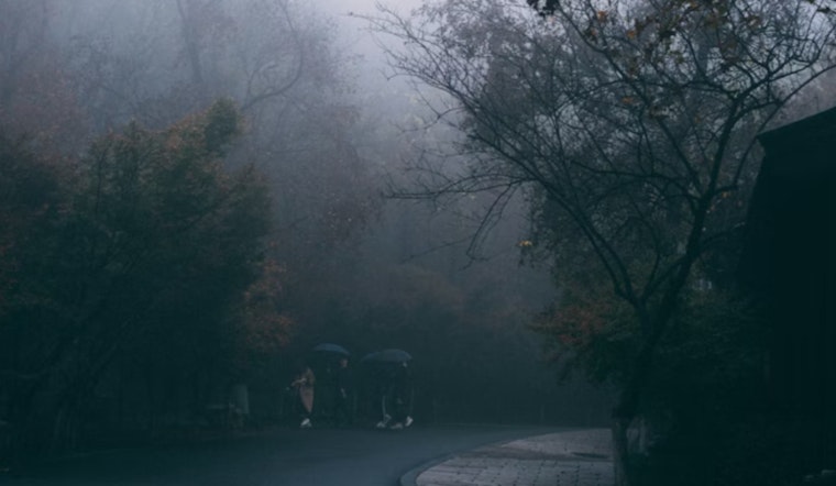 Foggy Mornings and Sunny Afternoons Forecasted for Sacramento Ahead of MLK Day
