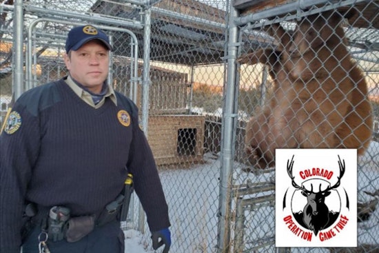 Fort Carson Deer Poaching Bust Leaves Two Soldiers Hit With Hefty Fines