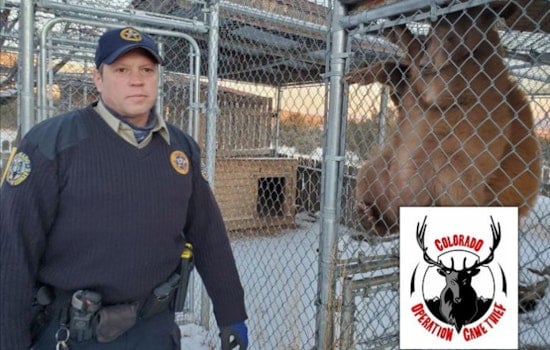 Fort Carson Deer Poaching Bust Leaves Two Soldiers Hit With Hefty Fines