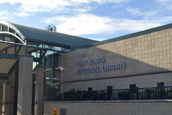 Free Family Programs Unveiled by Hillsborough County Libraries for an Enriching February