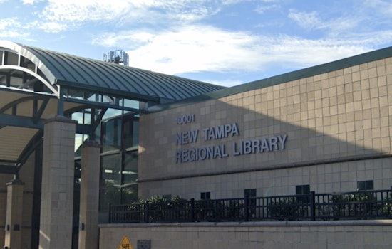 Free Family Programs Unveiled by Hillsborough County Libraries for an Enriching February