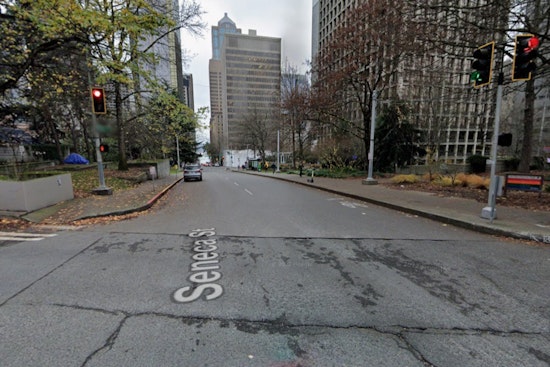 Freeway Park Frenzy As Seattle Cop Shoots Dog After Downtown Mauling