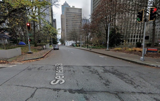 Freeway Park Frenzy As Seattle Cop Shoots Dog After Downtown Mauling