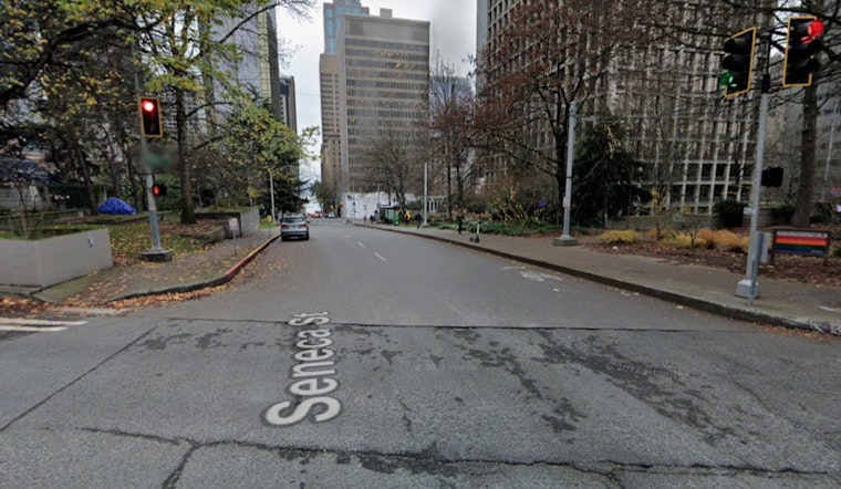 Freeway Park Frenzy As Seattle Cop Shoots Dog After Downtown Mauling