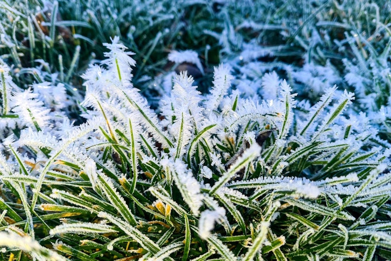 Freeze Warning Issued for Northeast Florida Including Jacksonville, Gainesville, and Ocala