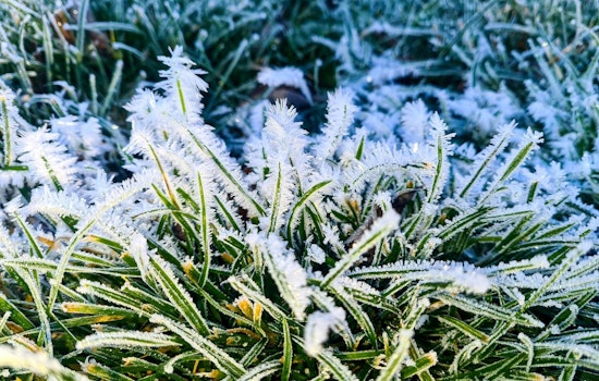 Freeze Warning Issued for Northeast Florida Including Jacksonville, Gainesville, and Ocala