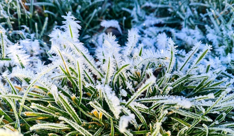 Freeze Warning Issued for Northeast Florida Including Jacksonville, Gainesville, and Ocala