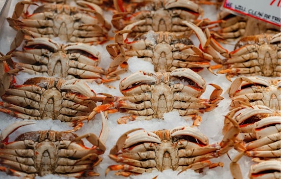 Fresh Catch Direct from the Boat: San Francisco’s Fisherman's Wharf Kicks Off Crab Sales & New Pop-Up Fish Market