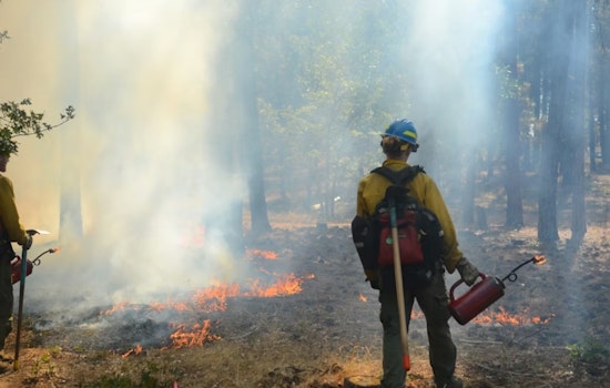 Frisco Fire Department Schedules Prescribed Burn for Ecological Management at Frisco Commons Park