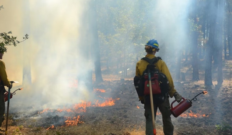 Frisco Fire Department Schedules Prescribed Burn for Ecological Management at Frisco Commons Park