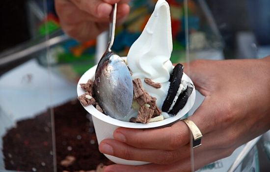 Froyo Fever: Yogurtland Scoops Up West University Drive Spot In McKinney