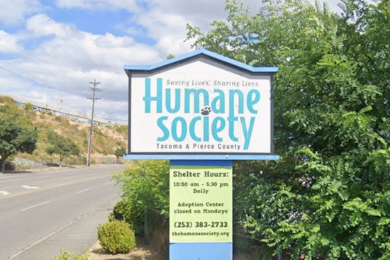 Fur Fee Fury in Tacoma as $400 Shelter Charge Spurs Pet Dumping Fears