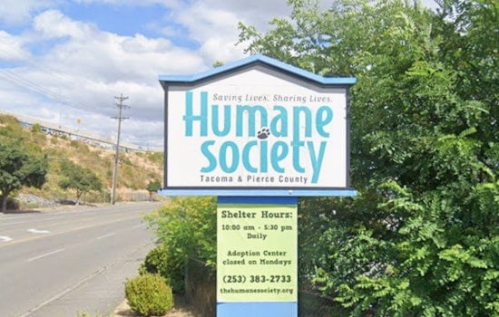 Fur Fee Fury in Tacoma as $400 Shelter Charge Spurs Pet Dumping Fears