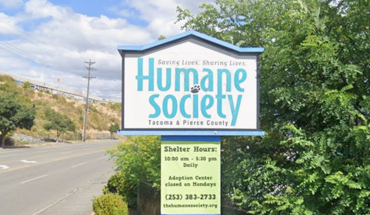 Fur Fee Fury in Tacoma as $400 Shelter Charge Spurs Pet Dumping Fears