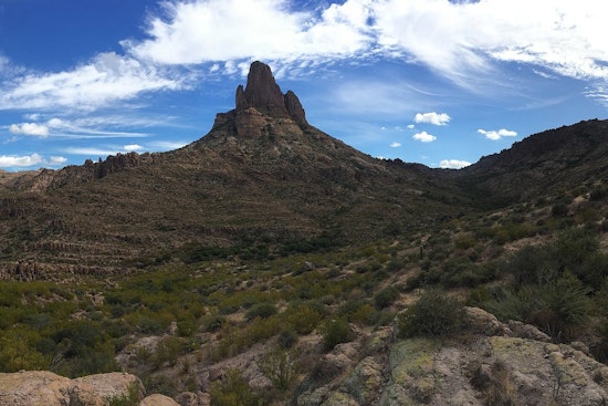 Gold Canyon's Peralta Trailhead Reopens Following Aggressive Bobcat Attacks on Hikers
