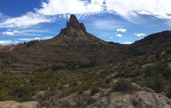 Gold Canyon's Peralta Trailhead Reopens Following Aggressive Bobcat Attacks on Hikers