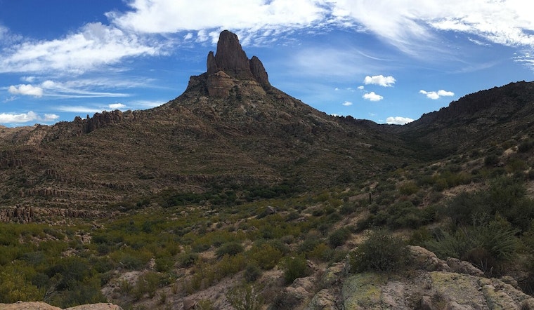 Gold Canyon's Peralta Trailhead Reopens Following Aggressive Bobcat Attacks on Hikers