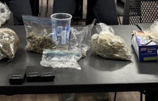 Goodlettsville Police Seize Over 14 Ounces of Marijuana; Woman Charged Amid Traffic Stop on Rivergate Parkway